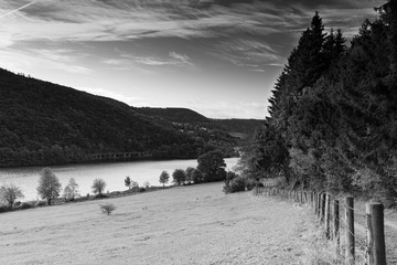 Obraz premium Einrurh Eifel National Park Germany