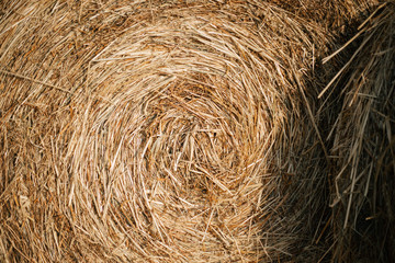 close-up of a straw bale