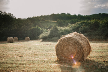 straw bale in a field at the end of the summer day