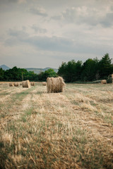 straw bale in a field at the end of the summer day, distant view