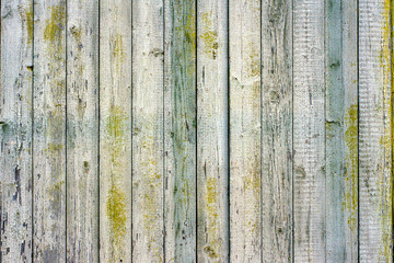 Background from old shabby wooden planks in a light grey colour. Background of boards arranged vertically