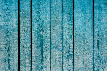 Fototapeta na wymiar The background is turquoise and the color of old painted wooden boards. Wooden background blue with peeling paint from long boards arranged vertically