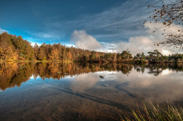 Fototapeta na wymiar Stunning landscape image of Tarn Hows in Lake District during beautiful Autumn Fall.