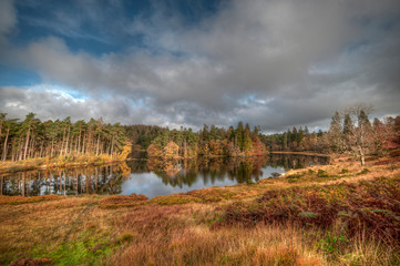 Stunning landscape image of Tarn Hows in Lake District during beautiful Autumn Fall.