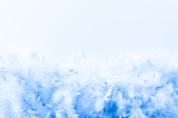 Beautiful abstract purple and blue feathers frame on white background and colorful soft white pink feather portrait frame texture