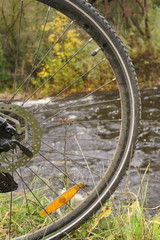 Close-up bicycle wheel on the river bank.