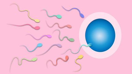 vector of fertilization , colorful sperm