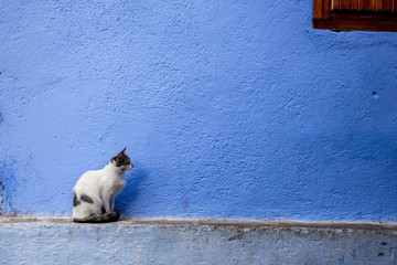 Narrow streets and blue painted houses of Chefchaouen city, Morocco. Most of the streets full of handmade colorful crafts,carpets and souvenir hanged to the walls of the blue houses.