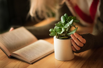 Beautiful melancholic girl with cup of coffee, hot chocolate or tea. Tinted image. A cup of coffee or hot chocolate and female with book. Attractive nice smiling dreamy young girl freelancer student w