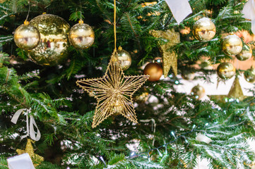 Christmas decorations golden star and snow on pine tree
