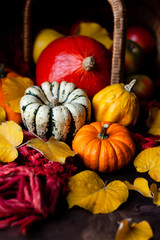 Autumn, harvest time. Composition with ripe organic pumpkins, apples, red scarf and yellow leaves. Basket on background. Low key, dark and moody