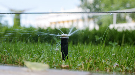 lawn watering in the Park