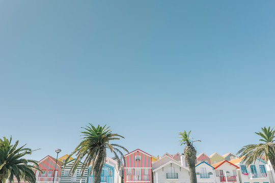 View of striped houses with palm trees, Costa Nova, Portugal