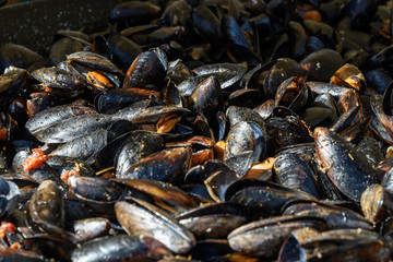 Large group of cooked mussels with tomato sauce at a street food festival, ready to eat seafood