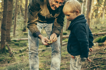 Mature man collecting bay bolete mushrooms with little boy