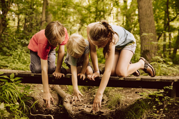 Three children reaching down from a small bridge in forest