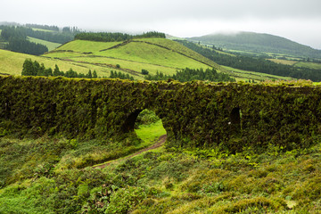 Fototapeta premium Beautiful landscape sceneries in Azores Portugal. Tropical nature in Sao Miguel Island, Azores. 