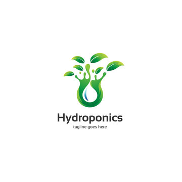 hydroponics logo design
