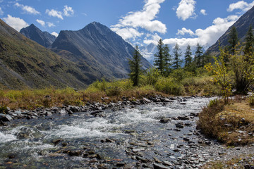 Fototapeta na wymiar Fast, mountain river in the Altai mountains