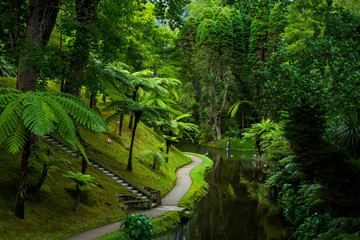 Beautiful landscape sceneries in Azores Portugal. Tropical nature in Sao Miguel Island, Azores. 