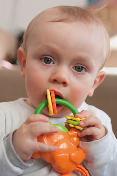 Germany, Hesse, Frankfurt, Portrait of baby boy holding toy, close up