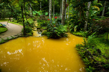 Beautiful landscape sceneries in Azores Portugal. Tropical nature in Sao Miguel Island, Azores. 