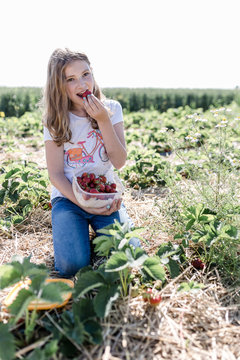 Portrait of girl eating picked strawberries on a field
