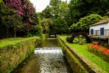 Beautiful landscape sceneries in Azores Portugal. Tropical nature in Sao Miguel Island, Azores. 