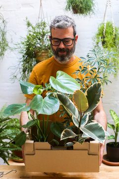 Man holding cardboard box with new plants for his terrace