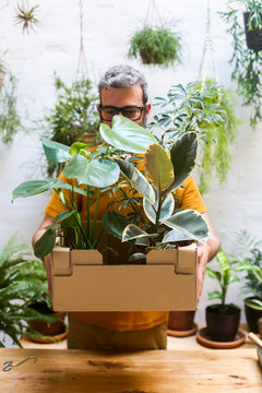 Man holding cardboard box with new plants for his terrace