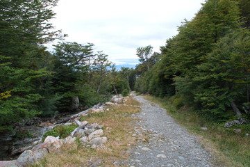 Fototapeta na wymiar The path along the mountain river, Ushuaia, Tierra del Fuego, Argentina