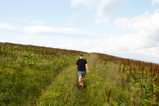 Man in a black football player walks among the mountain grasses, 