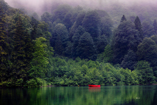 Misty Dark Lake