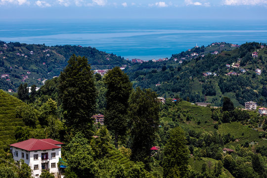 Cayeli view