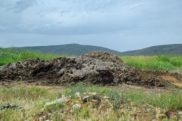 Piles of manure in field. Cow and horse manure with land.