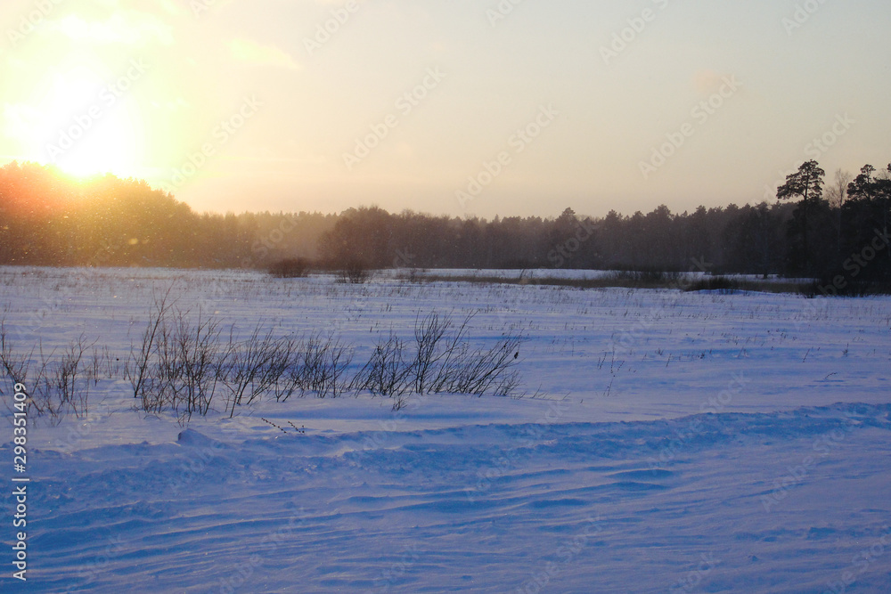 Canvas Prints Sunrise at Winter snow forest background Landscapes and cold nature