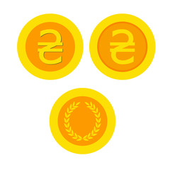 Ukrainian hryvnia coin   icon. Ukrainian hryvnia flat sign money.  golden (yellow) icon coin  set vector