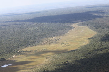 Vue aérienne forêt Botswana