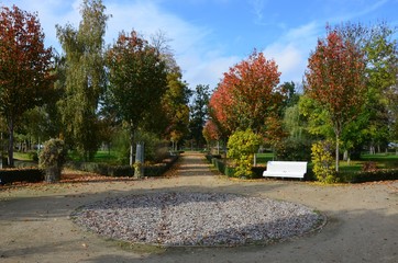Wunderschön bunter Herbst im Strandpark von Ueckermünde
