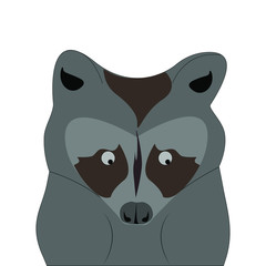 Black and white silhouette of a raccoon face. Flat vector icon. Vector graphics.