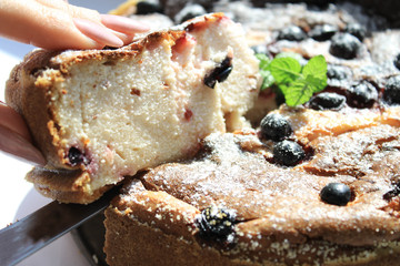 Slices of cake with cheese