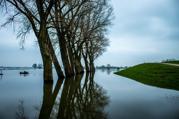 high river with trees in the netherlands