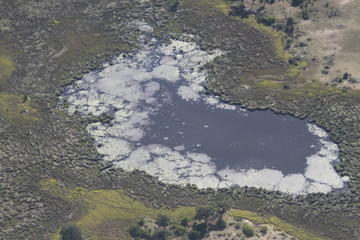 vue aérienne Delta Okawango