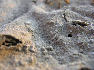 Syvash lake