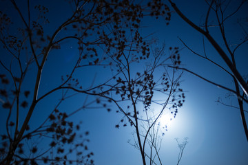 Mon over the valley in Aranjuez