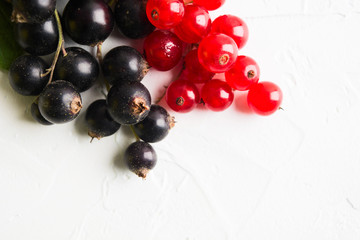 Naklejka na ściany i meble Red and black currant on white background with copy space. Closeup view. FLat lay. Healthy natural vitamin food