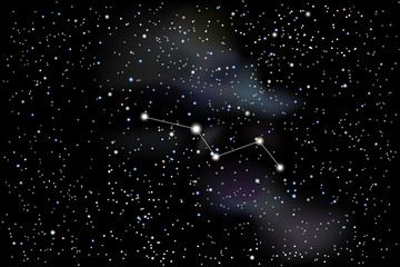 Vector illustration of the constellation Vulpecula (Fox) on a starry black sky background. The astronomical cluster of stars in the constellation in the northern celestial hemisphere. 