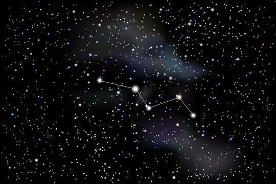 Vector illustration of the constellation Vulpecula (Fox) on a starry black sky background. The astronomical cluster of stars in the constellation in the northern celestial hemisphere. 