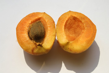 Apricot cut in half on a white background