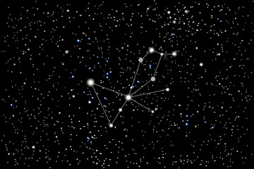 Vector illustration of the constellation Pavo (Peacock) on a starry black sky background. The astronomical cluster of stars in the Southern Celestial Hemisphere  © dore art